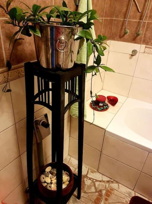 Zelena Oaza Apartman Skrljevo Kültér fotó